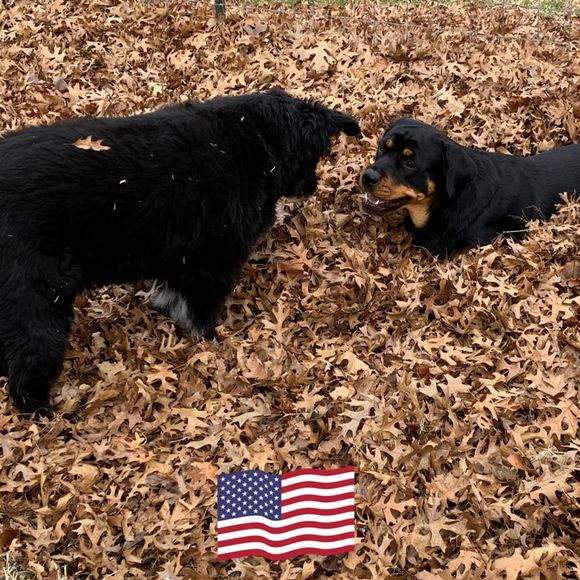 Meet your Posher, Christine - Picture 1 of 1